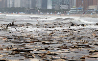[포토] 해운대해수욕장, 밀려온 폐목재에 쓰레기장 '방불'