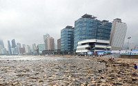 해운대 해수욕장 폐목재 '둥둥'…또 입욕통제, 지역 경제 '직격'