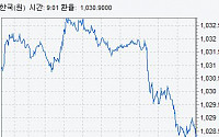 원·달러 환율 다시 1020원대로 미끄러져…호주 금리동결 영향