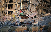 이스라엘·팔레스타인 “휴전 5일 추가 연장” 합의
