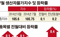 7월 생산자물가 전년比 0.2% 상승… 2개월 연속 ↑