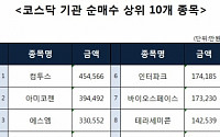 [코스닥 기관 순매수 상위 10개 종목]