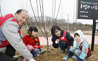 LG디스플레이 임직원 도라산 평화공원에 나무심기 행사
