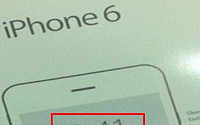 애플, 9월 9일 아이폰6 공개...내년 1분기엔 대형 아이패드까지 생산