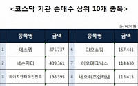 [코스닥 기관 순매수 상위 10개 종목]