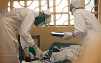 에볼라 재앙 끝나나…“치료제 지맵, 원숭이 시험에 100% 효과”