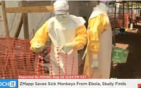 에볼라 치료제 지맵, 원숭이 시험에 100% 치료 효과 입증…원숭이 18마리 완치