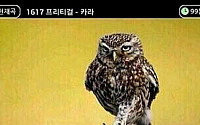 [좋아요 콕콕] 노래방서 '으르렁' 불렀더니…