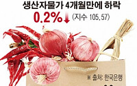 [숫자로 본 뉴스]8월 생산자물가 0.2%↓…4개월 만에 하락 전환