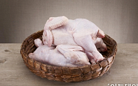 닭고기 가격 5년 만에 사상 최저 폭락