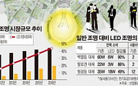 [e리포트]친환경 바람 타고 가정 속으로… LED조명 불밝힌다