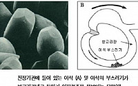 어지럼증 지속되면 '이석증' 의심해 봐야