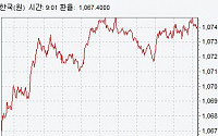 원·달러 환율 1070원선 돌파 마감…한글날 이후 추가 상승 가능성