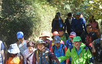 [포토] 가을 청계산 산행 즐기는 시민들
