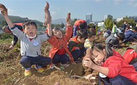 [포토] '고구마가 이만큼 커요'