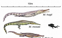 이층버스 크기 고대 악어, 지금의 악어 조상으로 밝혀져…크기 비교해보니 ‘대박’