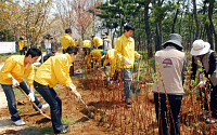 아시아나ㆍANA, 인천공항서 공동 식목행사