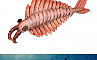아노말로카리스란, 5억년 전 바다 서열 1위 ‘포식자’… 생김새보니 “고래야? 새우야?”