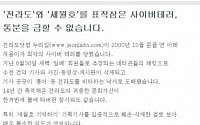 '전라도닷컴' 해킹 용의자 잡고보니…10대부터 군인까지 일베회원