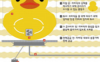 [인포그래픽] 사랑스런 '러버덕', 너는 누구니?