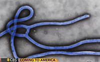 미국 뉴욕 에볼라 의심환자 양성 반응...국내 미국 입국자 검역 비상