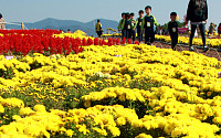 [포토]이번주말 국화축제 오세요