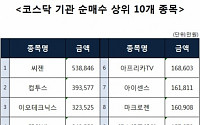 [코스닥 기관 순매수 상위 10개 종목]