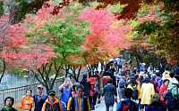 [포토]가을 산행 즐기는 시민들