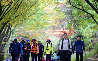 [포토]'가을 절정, 관악산 찾은 시민들'