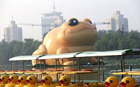 러버덕 상하이 등장, 베이징엔 거대 두꺼비도…
