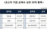 [코스닥 기관 순매수 상위 10개 종목]