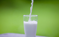 뼈 건강을 위해 하루 한 잔 이상의 ‘우유’가 반드시 필요해