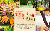 위메프, 가을 캠핑 3가지 '테마 기획전' 개최