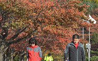 [포토] 깊어가는 가을의 서울대공원