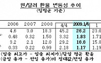 원ㆍ달러 환율 변동성 지난해보다 크게 줄었다