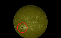 초대형 태양 흑점 발견…'점'이라고 무시했는데 크기가 '지구'의 14배!