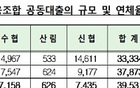 상호금융 공동대출 5개 조합으로 제한 ...1순위 담보대출만 가능