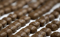 코코아 성분, 플라바놀 함유… 매일 초콜릿바 7개 먹으면 '기억력' 좋아진다?