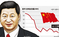 시진핑 “중국 성장률 7%로도 충분”…‘아ㆍ태의 꿈’ 제시