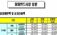 [오늘의 펀드시황]주식펀드 설정액 증가세 지속