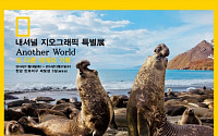 효성, 세빛섬서 내셔널지오그래픽 특별 사진전 개최