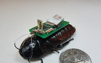 미국, '경비원 로봇' 시범운행…사람 구하는 '바퀴벌레 로봇'도 얼마 전 개발