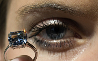 [포토] 세계에서 가장 비싼 '블루 다이아몬드'