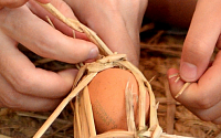 달걀 껍질 활용하는 세가지 비법…먹고, 바르고, 뿌리고 ‘만능이네’