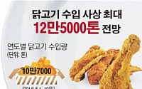 [데이터뉴스] '치맥' 열풍으로 닭고기 수입량 사상 최대