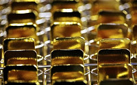 스위스, 국민투표서 金 보유확대 법안 부결…금값, 요동치나