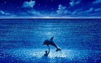 영화 '그랑블루', 명화극장으로...푸른 바닷속 영원한 자유, 어떤 영화?