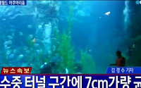 제2롯데월드 아쿠아리움 벽에서 물이 줄줄...4000t 물폭탄 가능성에 시민들 '몸서리'