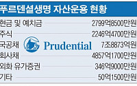 푸르덴셜생명, 美 푸르덴셜파이낸셜 회사채 780억 투자