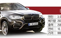 [내년 車시장 춘추전국]BMW ‘뉴 X6’ 더 강력해진 ‘스포츠 액티비티 쿠페’로 귀환